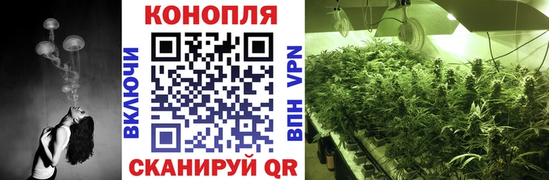 Хочу наркоту Осинники Марихуана  Псилоцибиновые грибы  Гашиш  МЕФ 