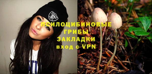 PSILOCYBIN Алексеевка