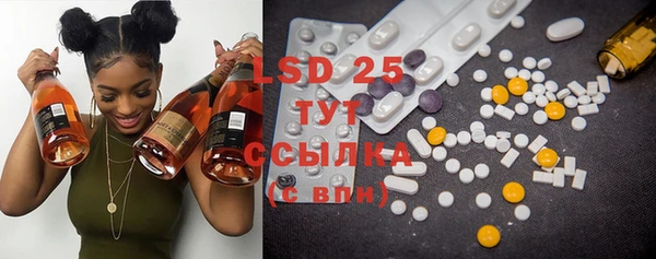 PSILOCYBIN Алексеевка
