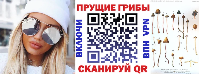 Галлюциногенные грибы прущие грибы  KRAKEN ссылки  Осинники 