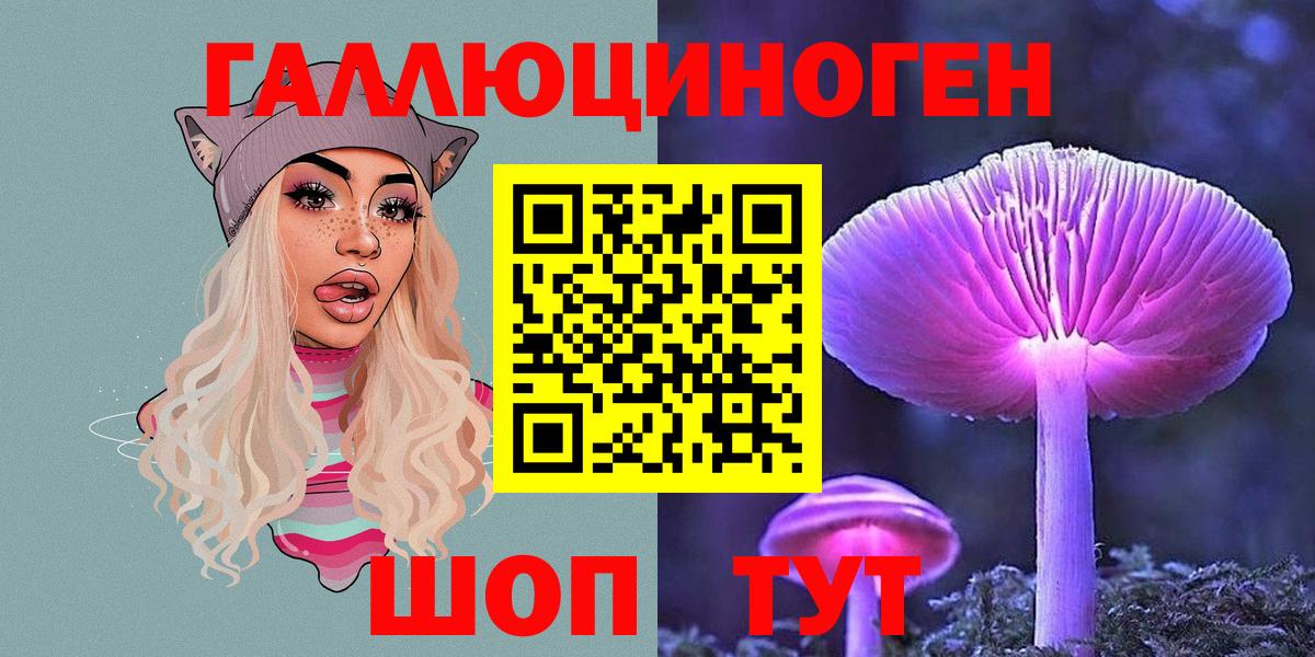 МЕФ Осинники